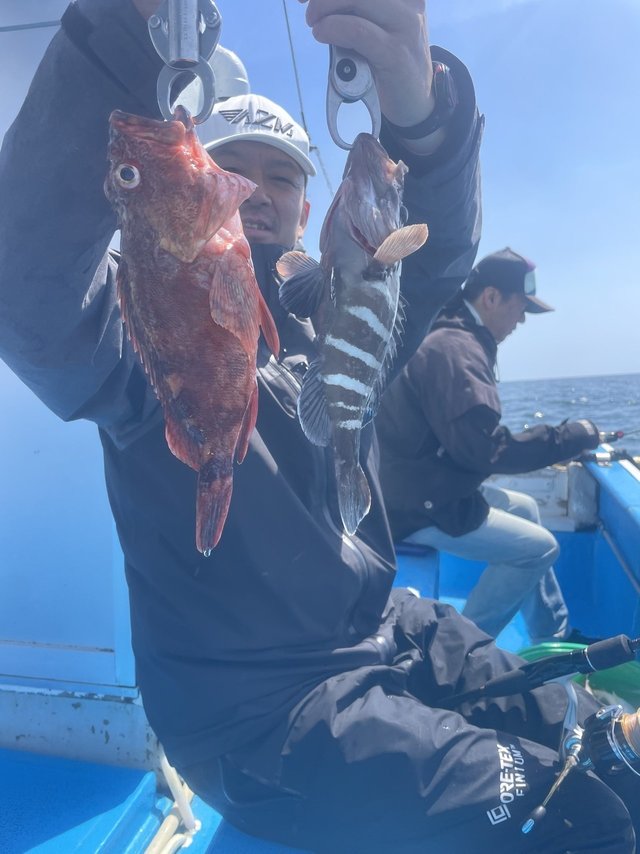 マハタ・カサゴ