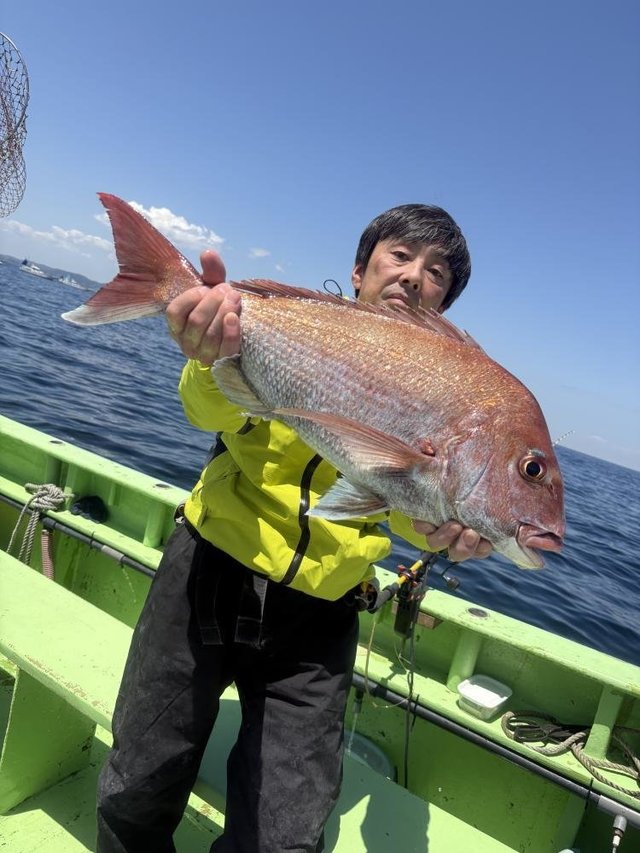 マダイ