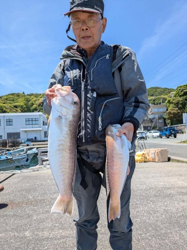 シロアマダイ