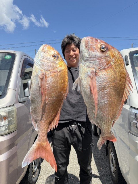 マダイ