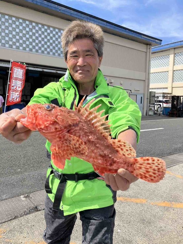 オニカサゴ