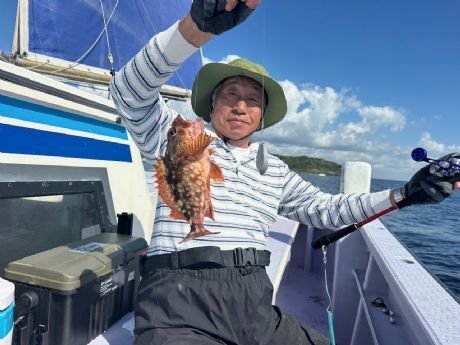 カサゴ