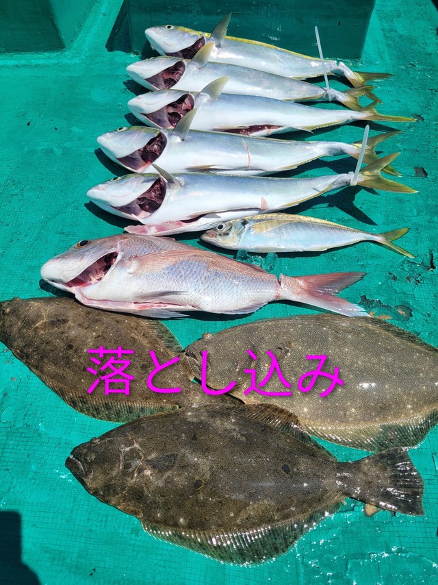 ヒラメ