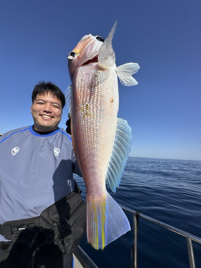 シロアマダイ
