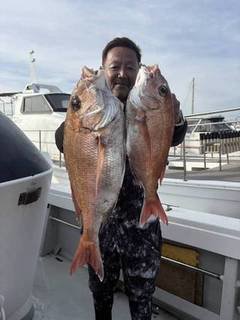 マダイ