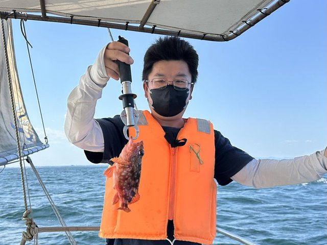 カサゴ