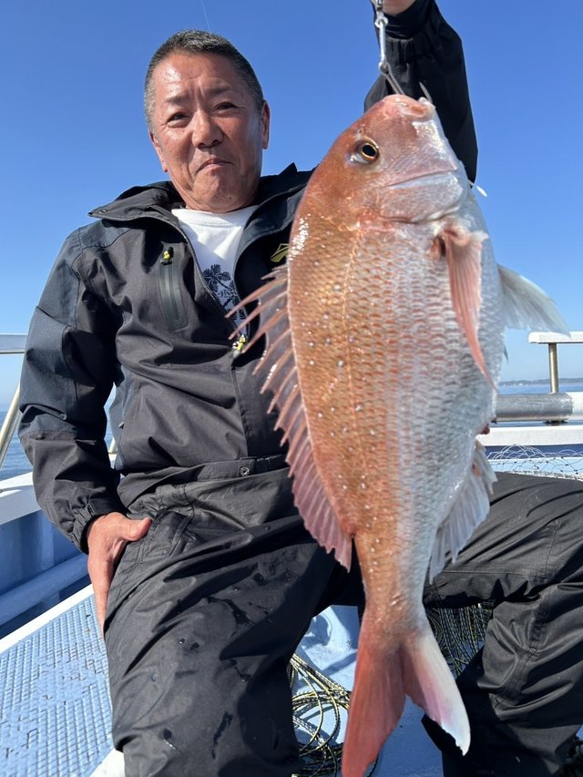 マダイ