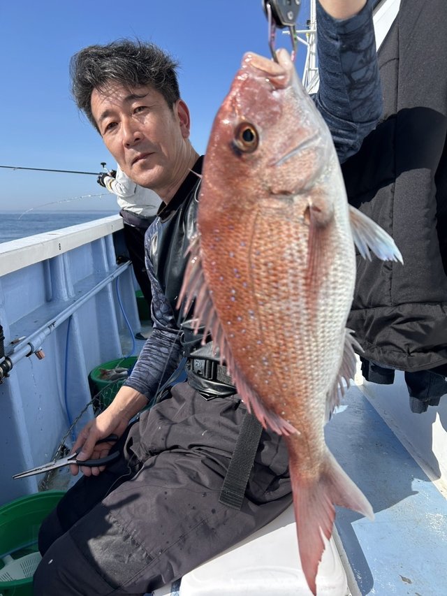 マダイ