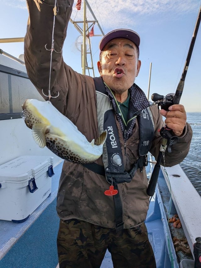 ショウサイフグ