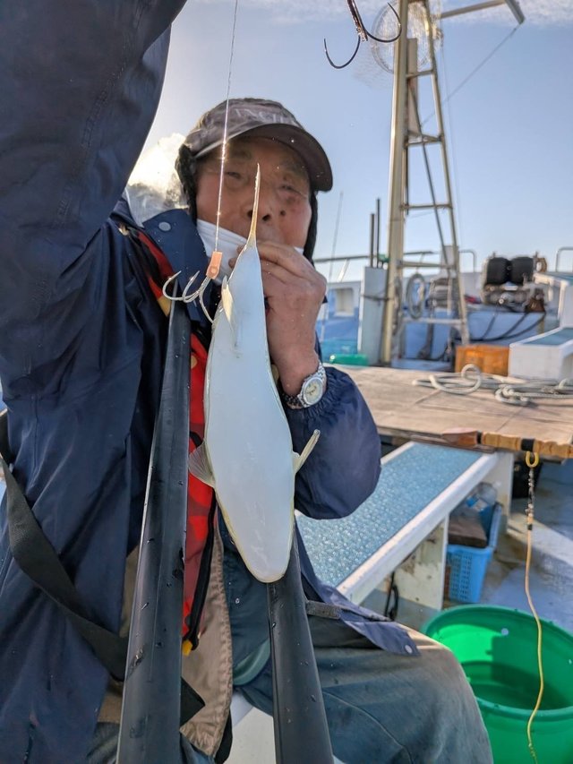 ショウサイフグ