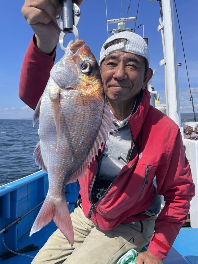 マダイ