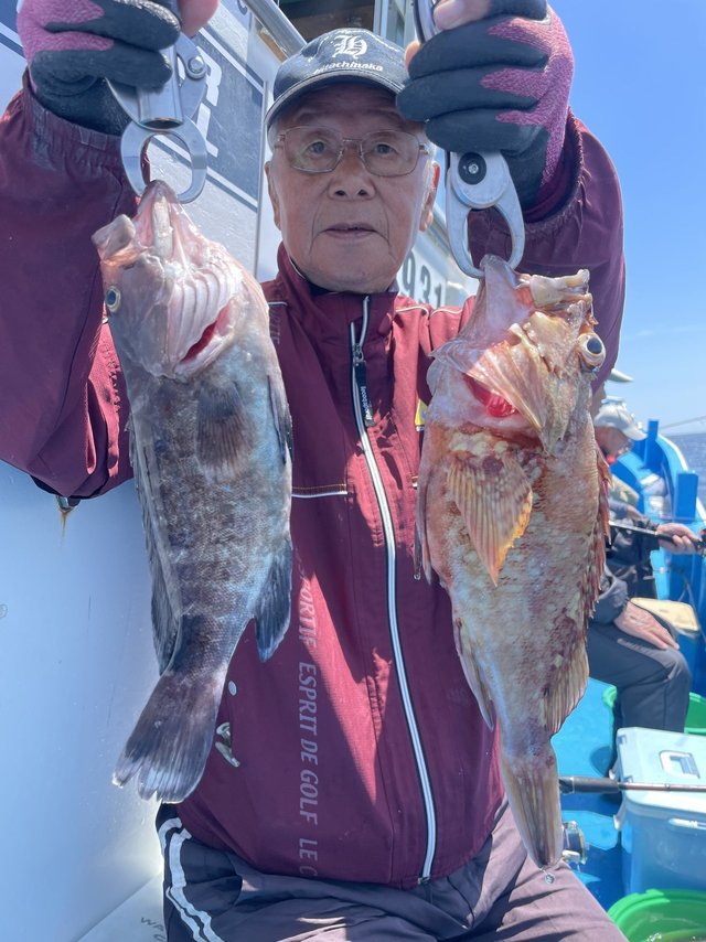 マハタ・カサゴ