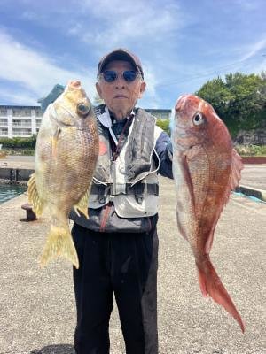 マダイ・メイチダイ