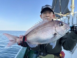 マダイ