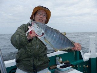 シマアジ