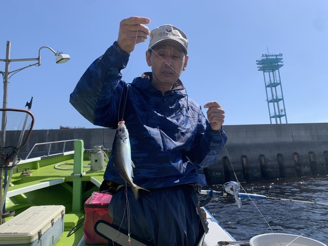 アジ(マアジ)