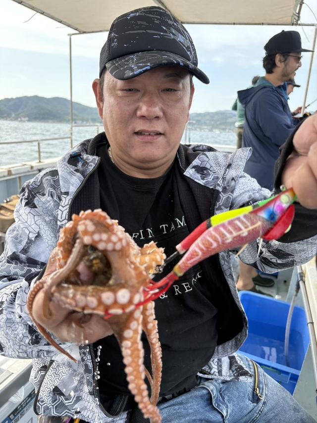 マダコ