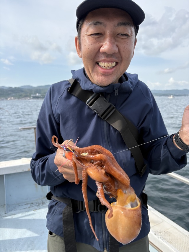 マダコ