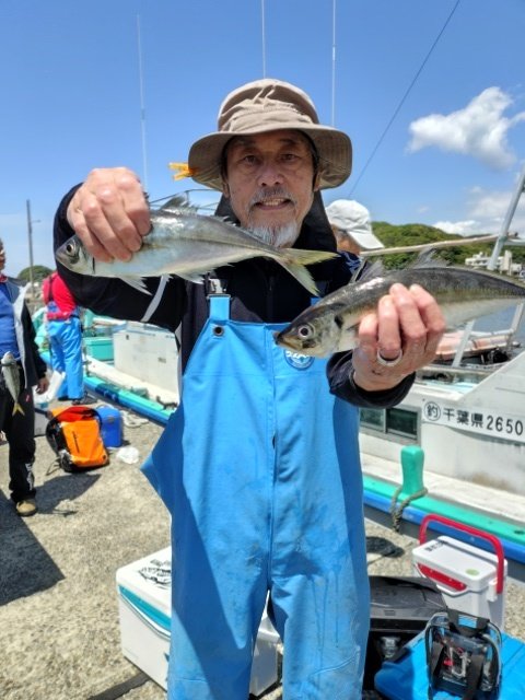アジ(マアジ)