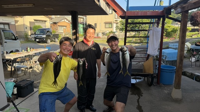 アジ(マアジ)