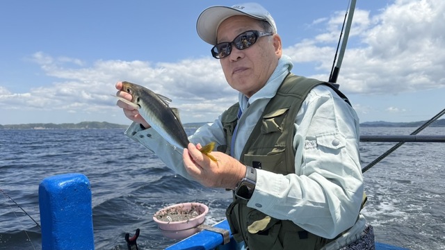 アジ(マアジ)