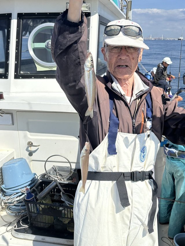 シロギス