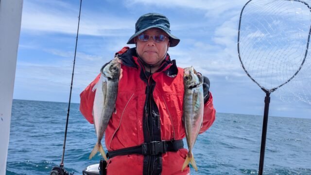 アジ(マアジ)