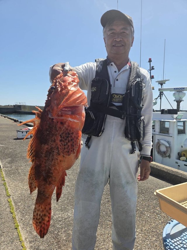 オニカサゴ