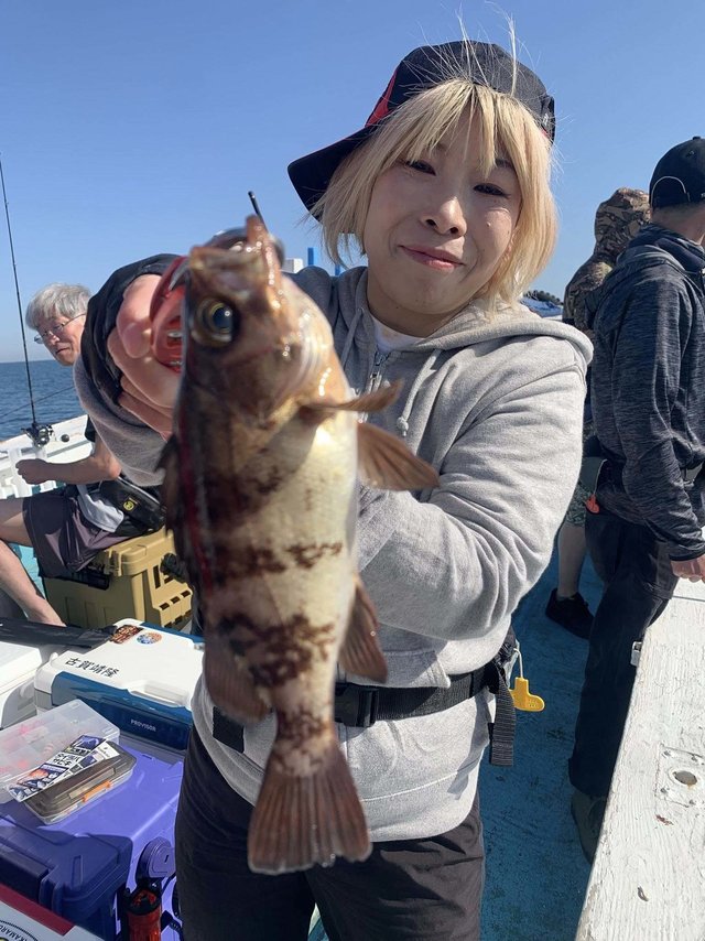 メバル