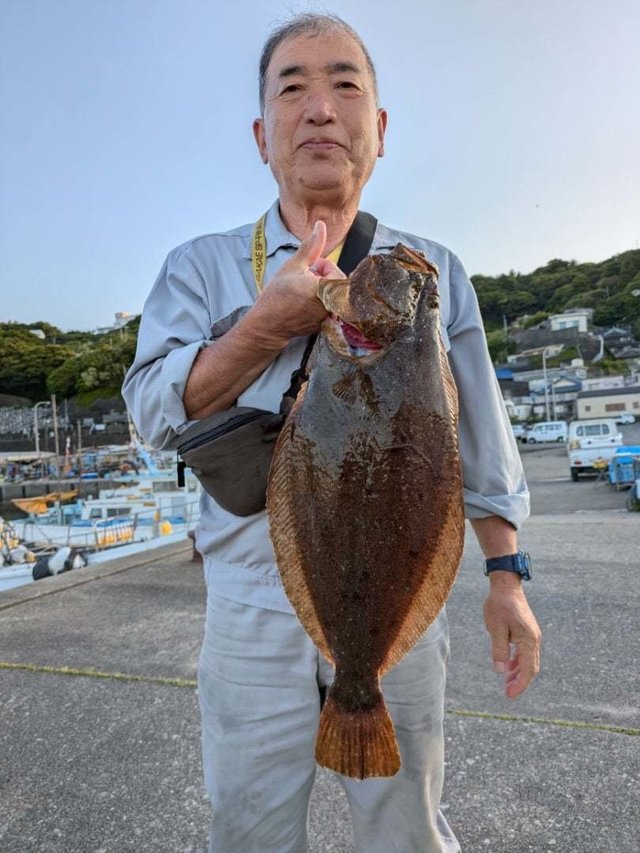 ヒラメ