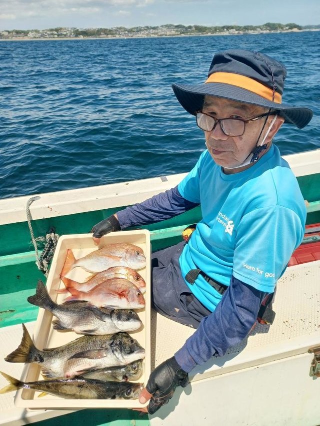 ハナダイ(チダイ)・クロダイ