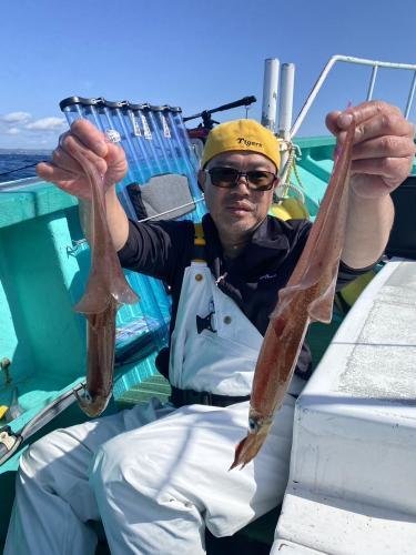 ヤリイカ