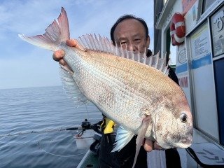 マダイ