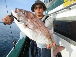 マダイ