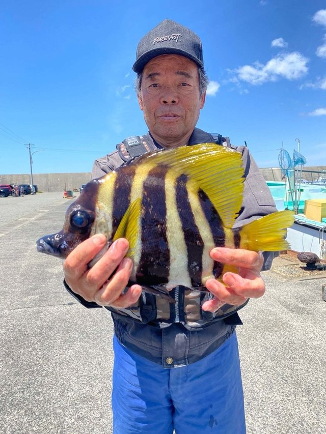 イシダイ