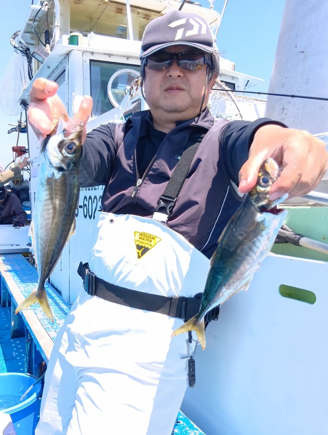 アジ(マアジ)