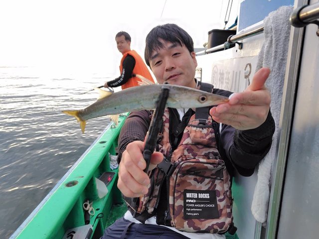カマス(アカカマス)