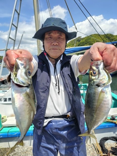 アジ(マアジ)