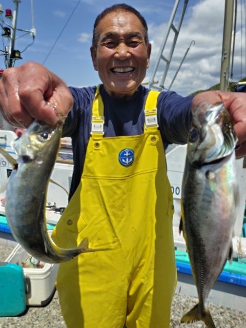 アジ(マアジ)