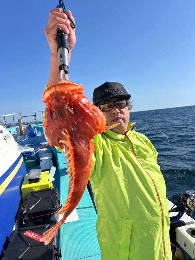 オニカサゴ
