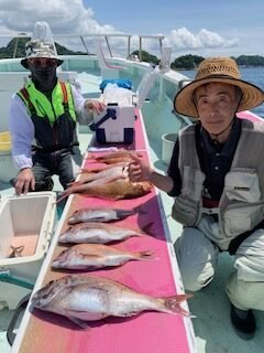 マダイ