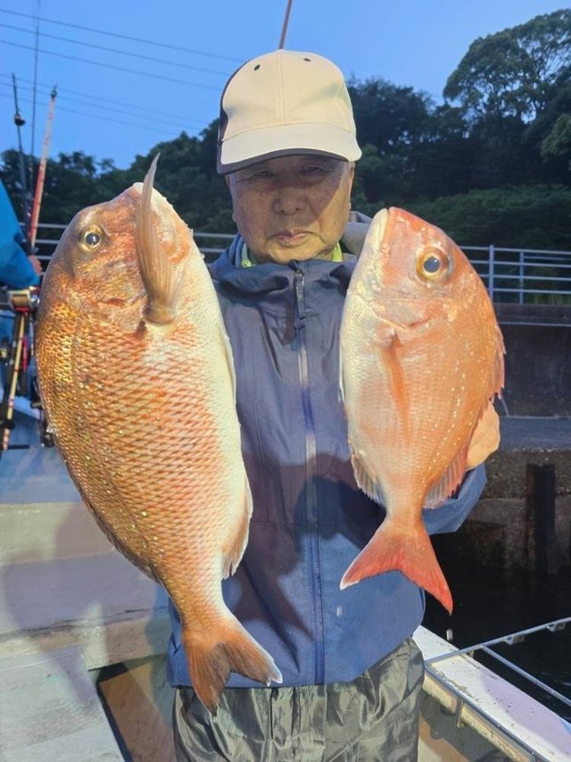 マダイ