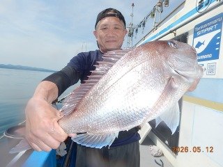 マダイ