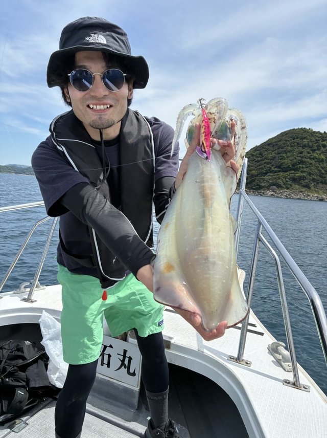 アオリイカ