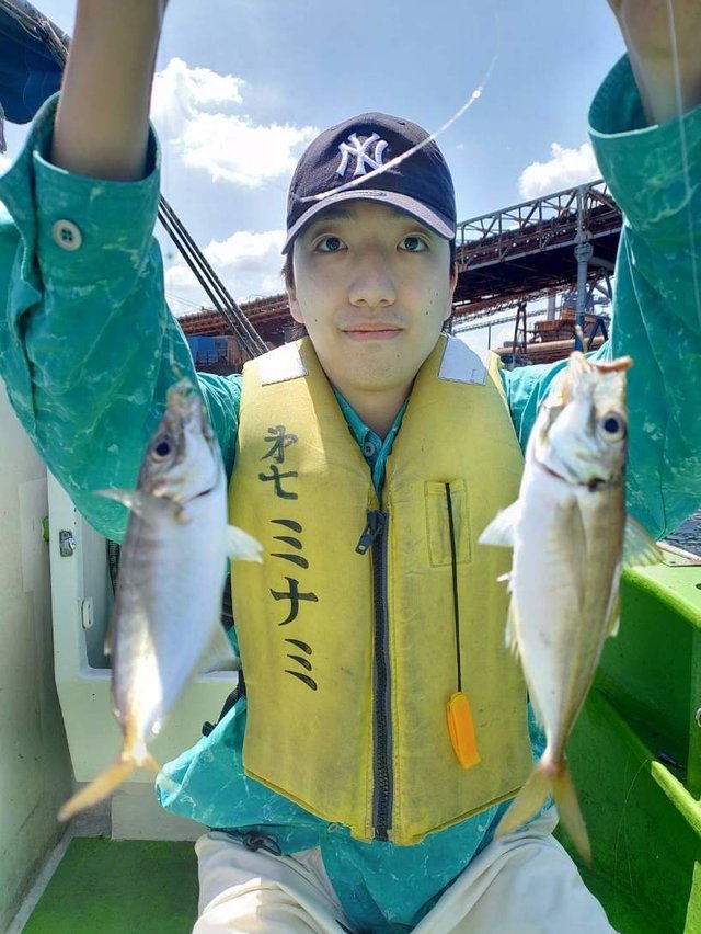 アジ(マアジ)