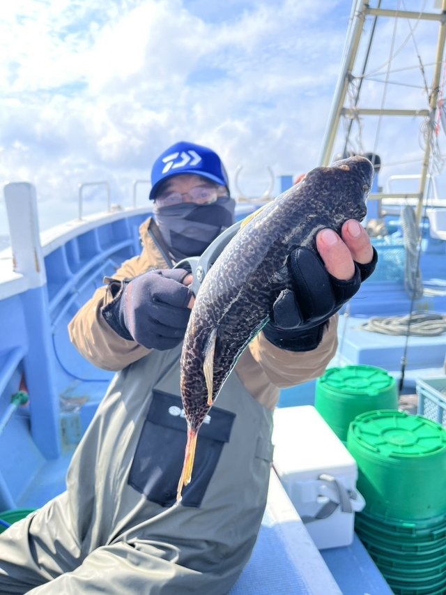 ショウサイフグ
