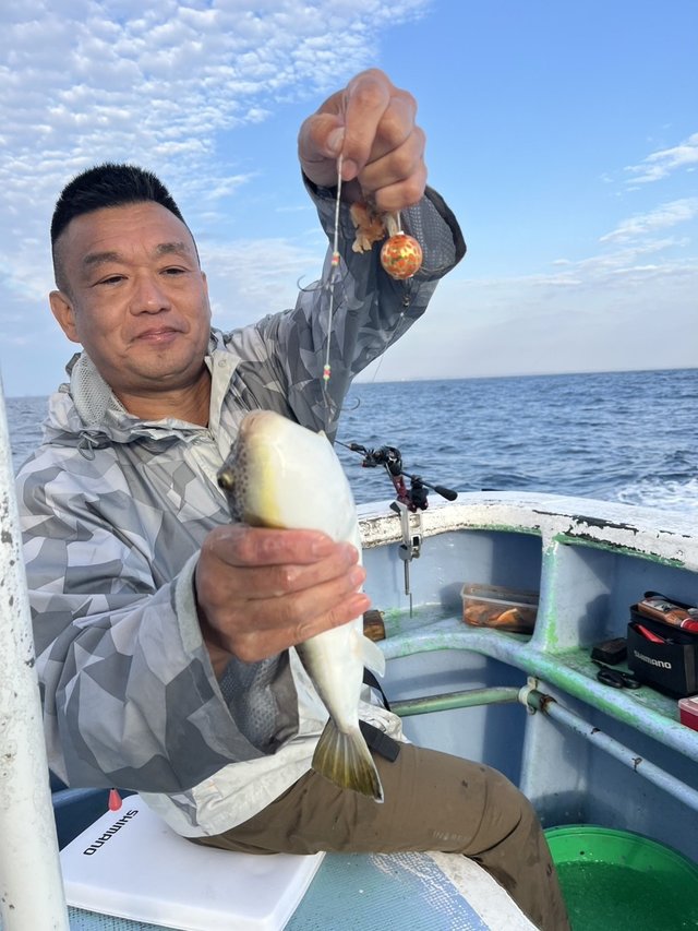 ショウサイフグ
