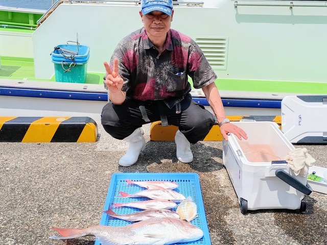 マダイ
