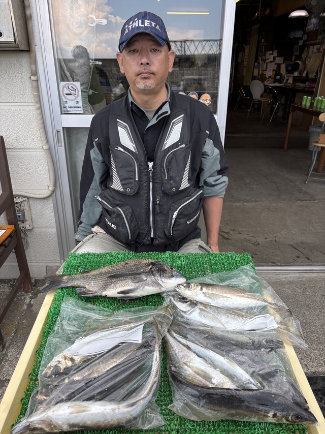 アジ(マアジ)