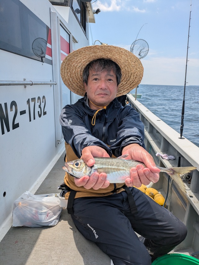 アジ(マアジ)